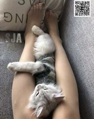 最美情侣免费观看完整版高清中文_1080完整在线观看